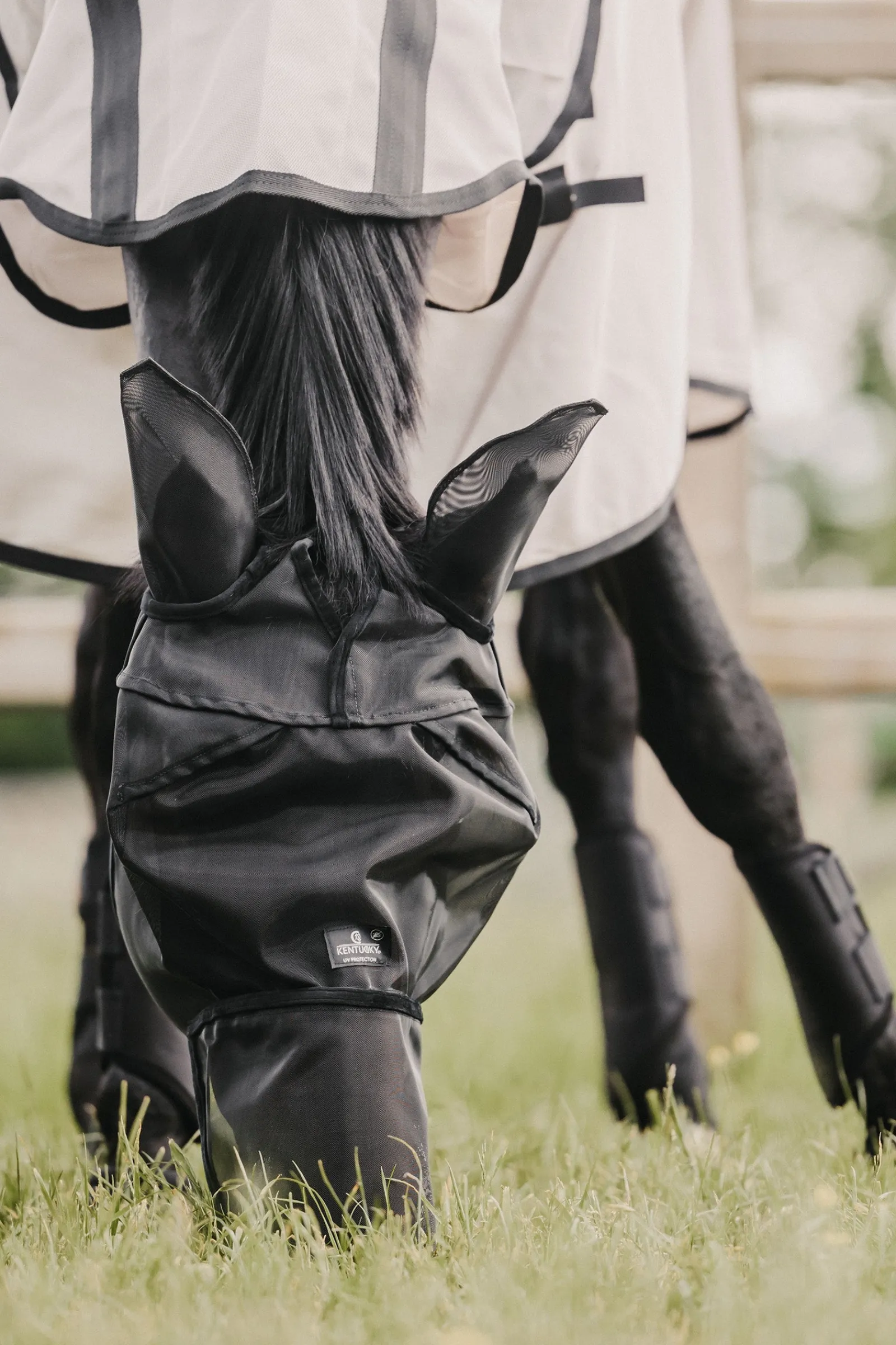 Kentucky Horsewear Classic Fliegenmaske mit Nase und Ohren* Fliegenmasken & Fliegenfransen
