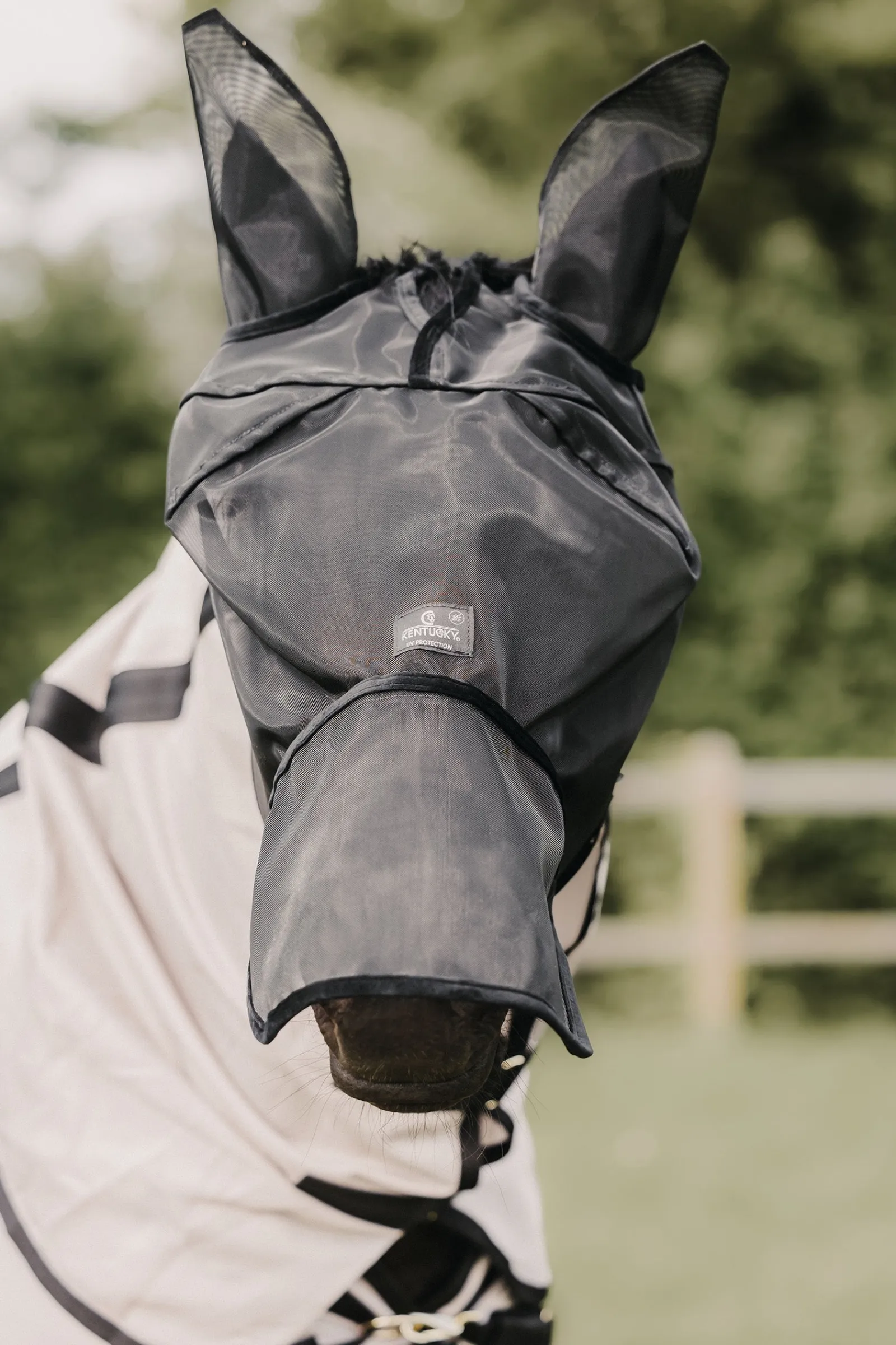 Kentucky Horsewear Classic Fliegenmaske mit Nase und Ohren* Fliegenmasken & Fliegenfransen