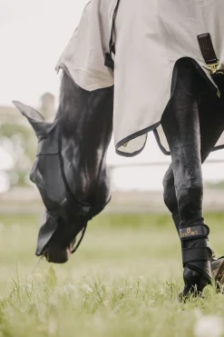 Kentucky Horsewear Classic Fliegenmaske mit Nase und Ohren* Fliegenmasken & Fliegenfransen