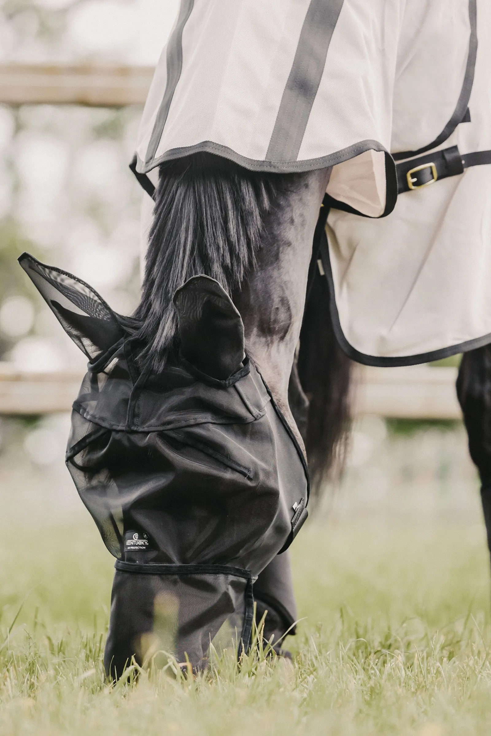 Kentucky Horsewear Classic Fliegenmaske mit Nase und Ohren* Fliegenmasken & Fliegenfransen