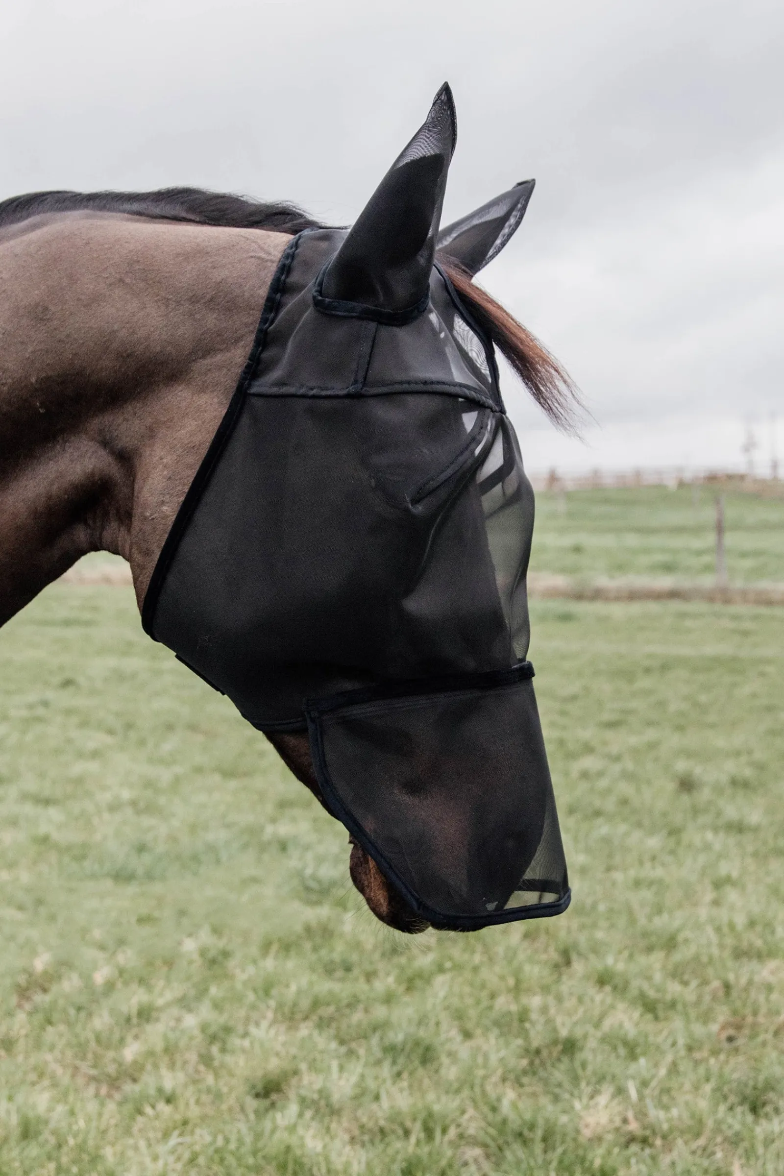 Kentucky Horsewear Classic Fliegenmaske mit Nase und Ohren* Fliegenmasken & Fliegenfransen