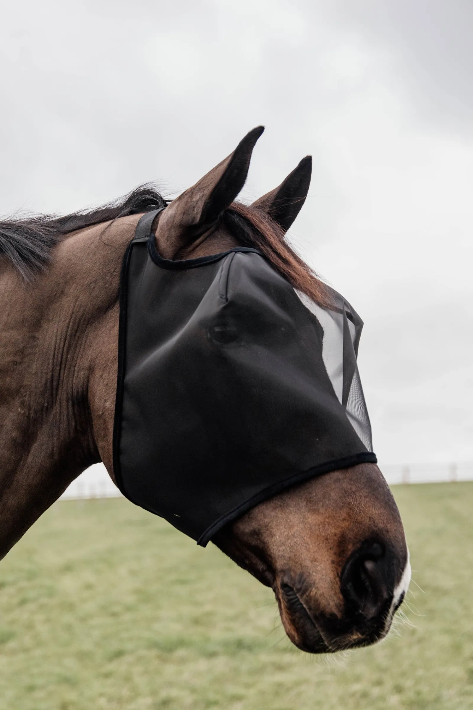 Kentucky Horsewear Classic Fliegenmaske ohne Ohren* Fliegenmasken & Fliegenfransen