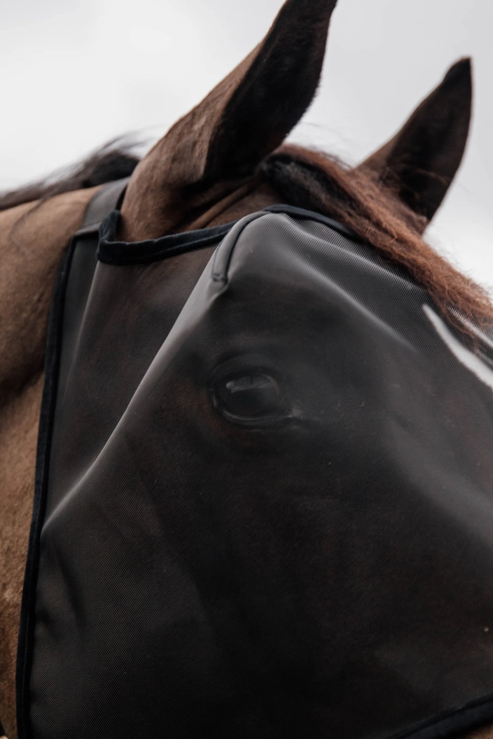Kentucky Horsewear Classic Fliegenmaske ohne Ohren* Fliegenmasken & Fliegenfransen