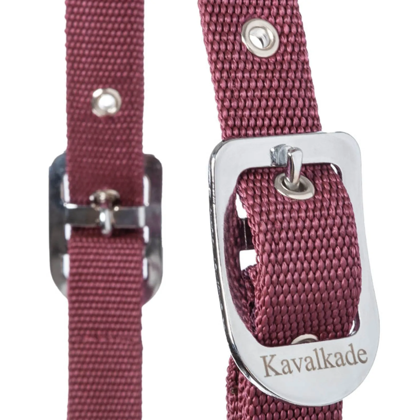 Kavalkade Classic Halfter* Halfter