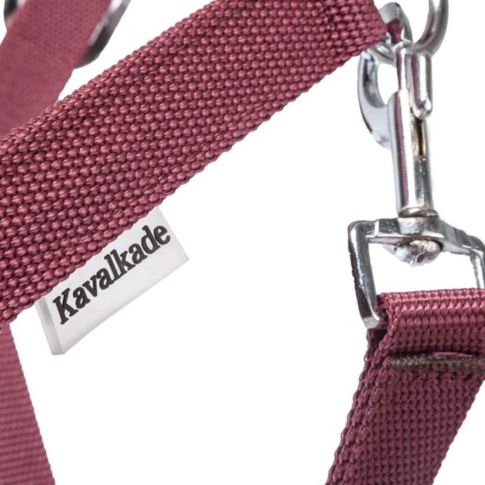 Kavalkade Classic Halfter* Halfter