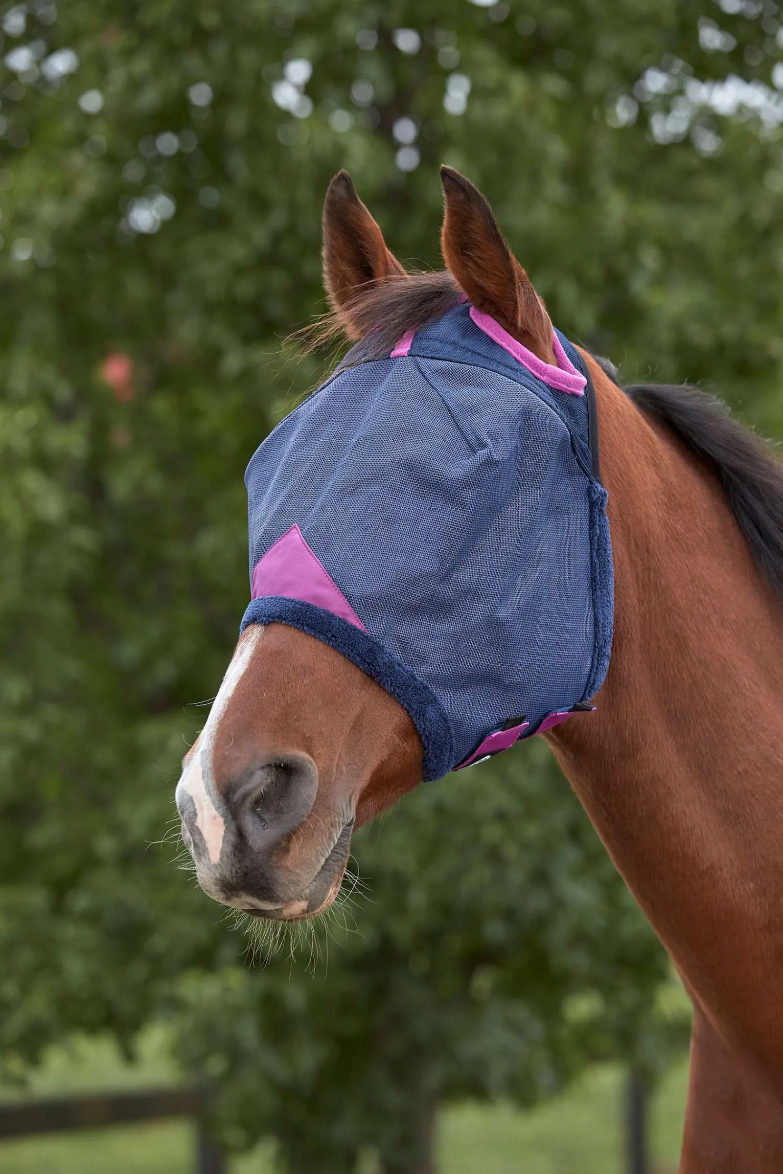 Weatherbeeta Comfitec Deluxe strapazierfähige Mesh-Maske* Fliegenmasken & Fliegenfransen