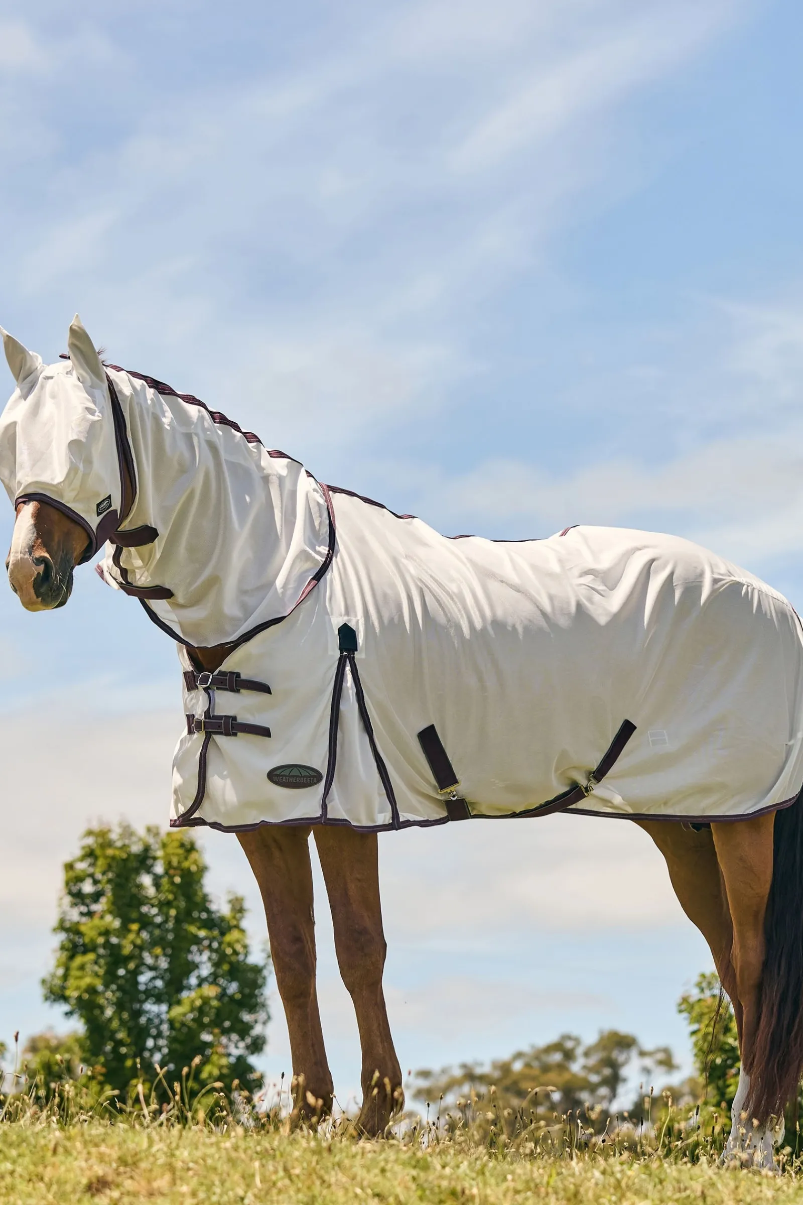 Weatherbeeta Comfitec Essential Mesh Maske* Fliegenmasken & Fliegenfransen