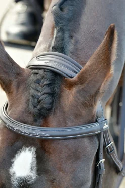 Collegiate Comfitec Opulux Fancy Stitch gepolsterte hannoversche Trense* Trensen & Nasenriemen