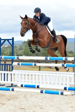 Collegiate Comfitec Opulux schlichte gepolsterte Trense mit mexikanischem Reithalfter* Trensen & Nasenriemen