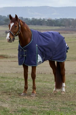 Weatherbeeta ComFiTecPlus Dynamic Turnout Detach-A-Neck 100G* Leichte Weidedecken