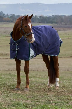 Weatherbeeta ComFiTecPlus Dynamic Turnout Detach-A-Neck 100G* Leichte Weidedecken