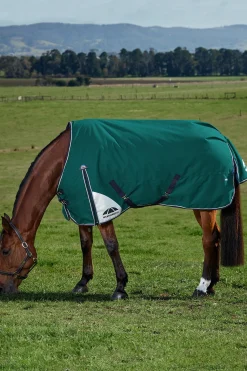 Weatherbeeta ComFiTecPlus Dynamic Turnout Detach-A-Neck 100G* Leichte Weidedecken