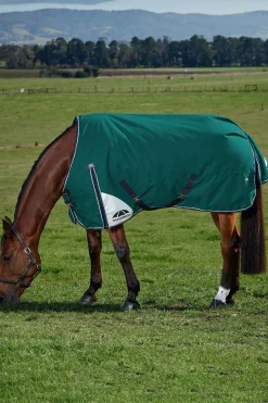 Weatherbeeta ComFiTecPlus Dynamic Turnout Standard Neck 0G* Leichte Weidedecken