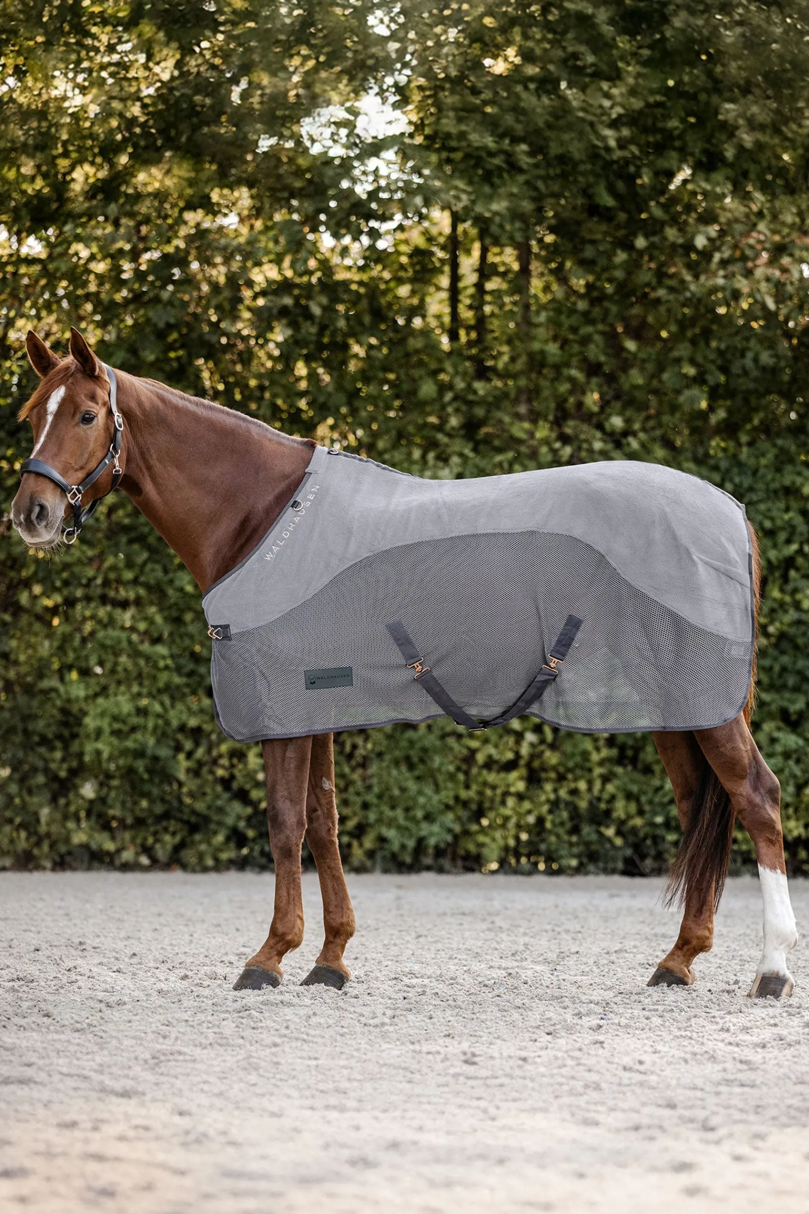 Waldhausen Comfort Fleece Fliegendecke* Fliegendecken