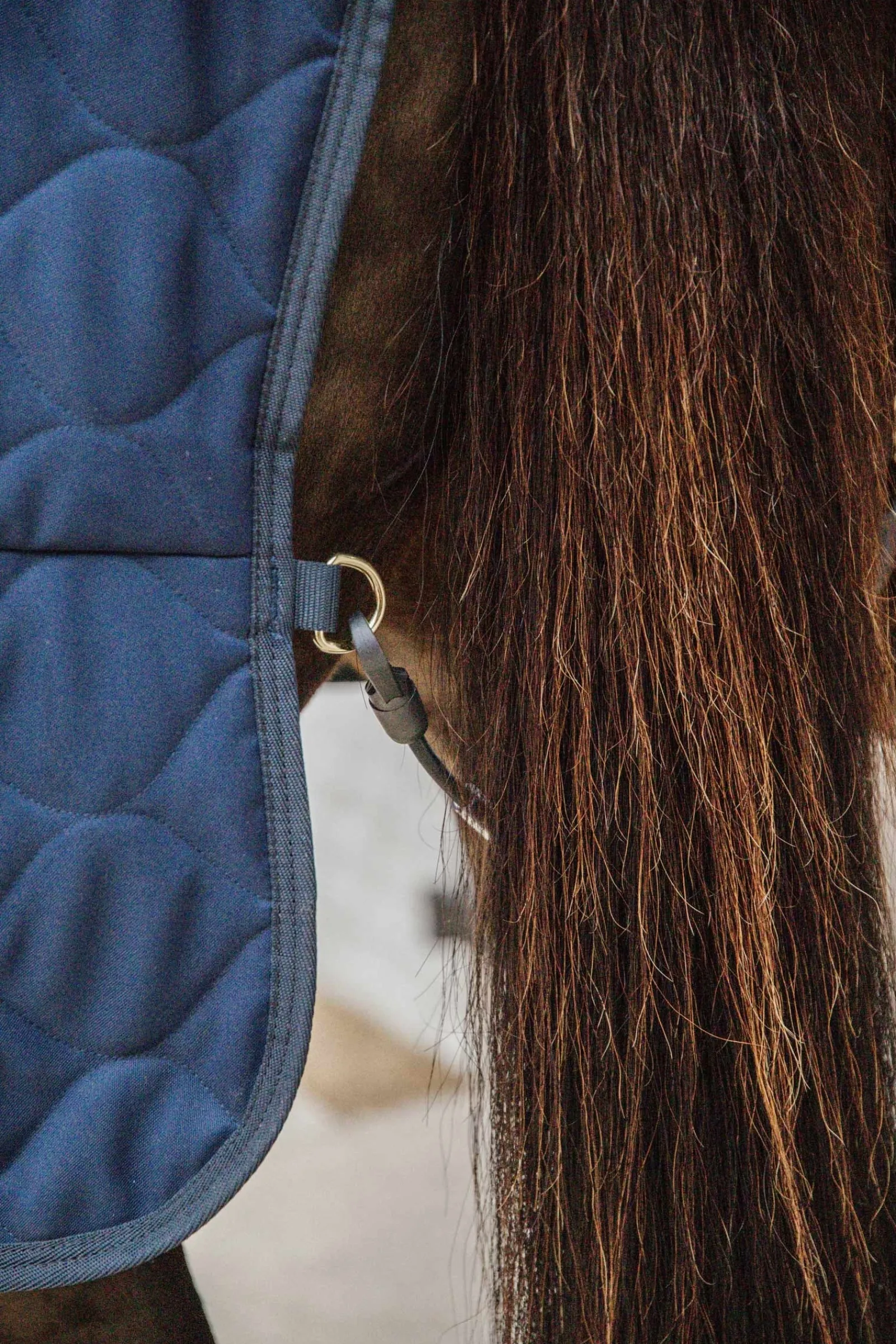 Kentucky Horsewear Comfort Stalldecke 100g* Stall- & Unterdecken