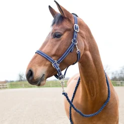 Horze Cooper Halfter und Führstrick* Halfter
