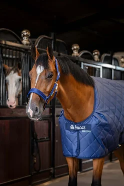 Bucas Cosy Stable Rug* Stall- & Unterdecken