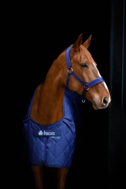 Bucas Cosy Stable Rug* Stall- & Unterdecken