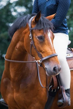 F.R.A. Freedom Riding Articles Dandy Sidepull mit Zügeln (System 3)* Trensen & Nasenriemen