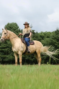 F.R.A. Freedom Riding Articles Dandy Sidepull mit Zügeln (System 3)* Trensen & Nasenriemen