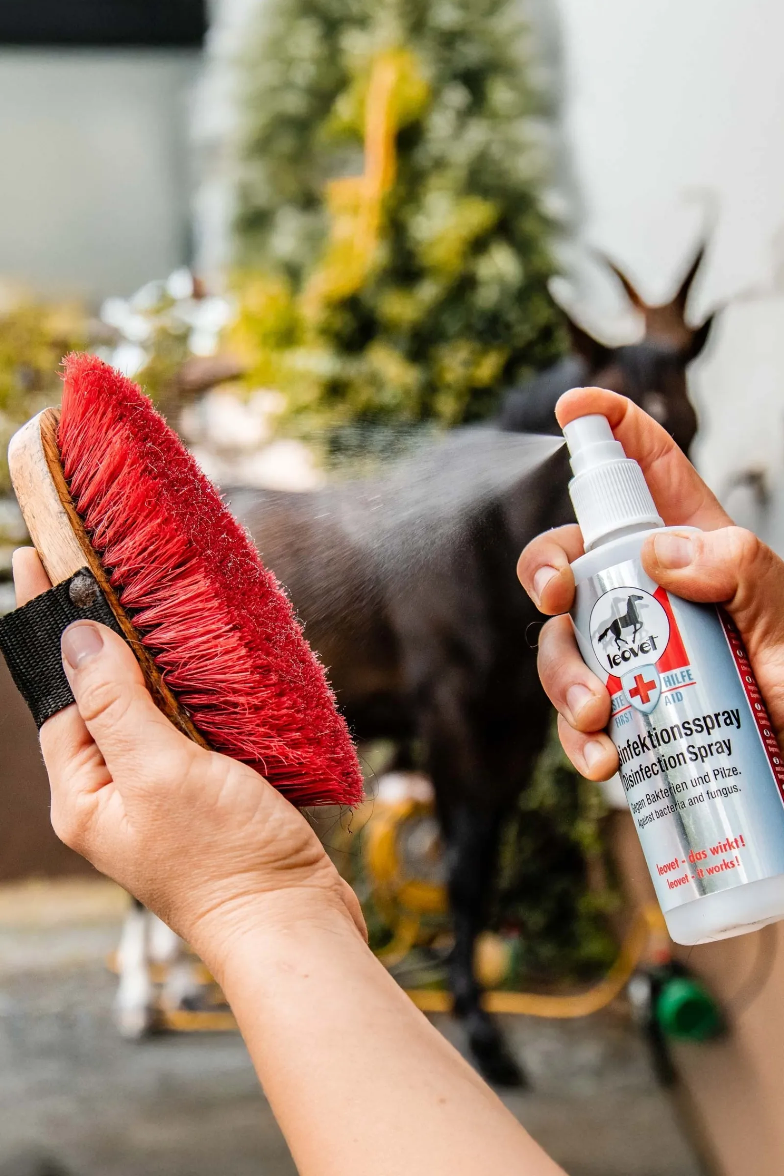 Leovet Desinfektionsspray* Stallapotheke|Sonstige Therapie- & Massageartikel
