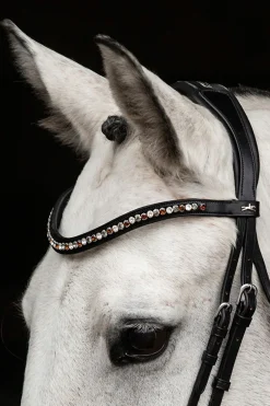 Schockemöhle Sports Diamond Select Stirnriemen* Stirnriemen