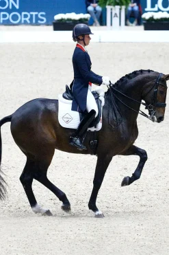 LeMieux Dressage Competition Square Dressurschabracke* Dressurschabracken