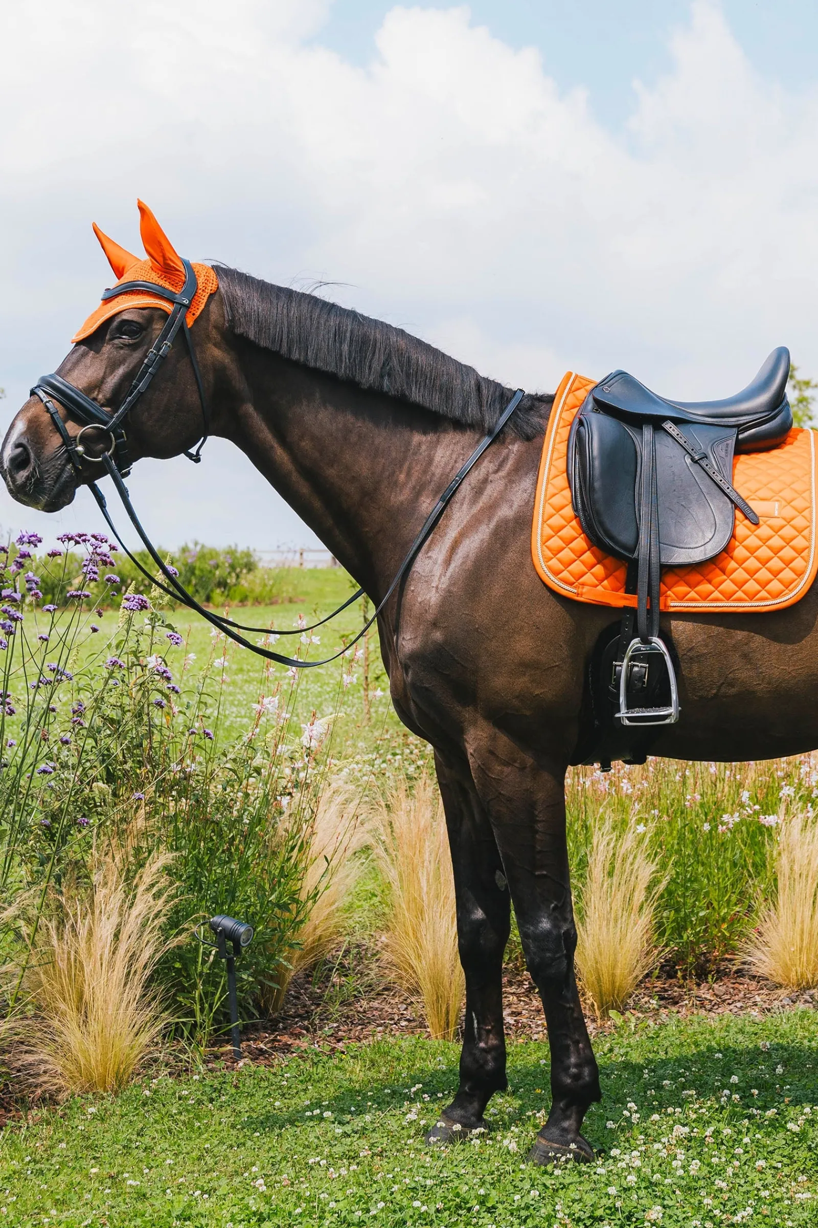 Kentucky Horsewear Dressurschabracke Diamond Rope* Dressurschabracken