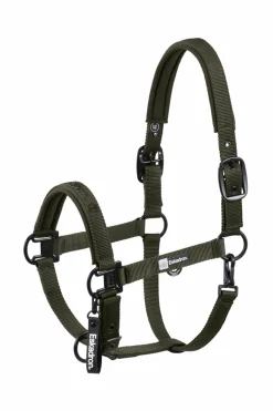 Eskadron Dynamics AW25 Halfter mit Dornschnalle doppelt* Halfter