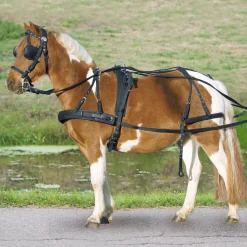 Waldhausen Einspänner Synthetikgeschirr Pony und Shetland* Trab- Und Rennsportausrüstung