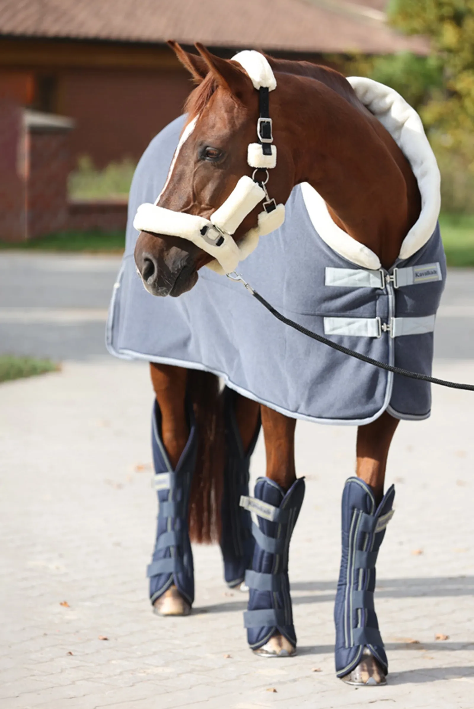 Kavalkade Elegance Transport- und Abschwitzdecke* Abschwitzdecken