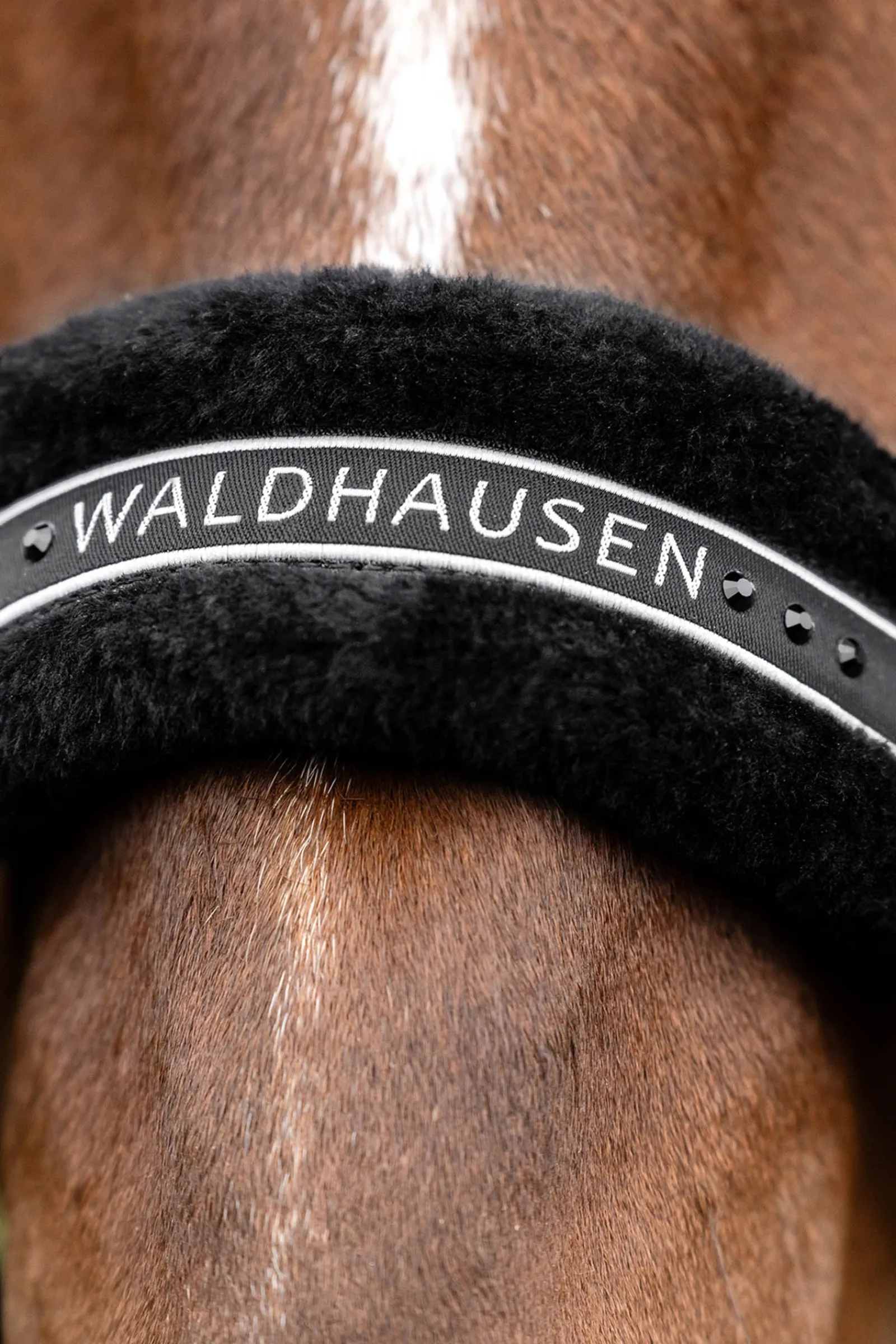 Waldhausen Elegant Halfter* Halfter