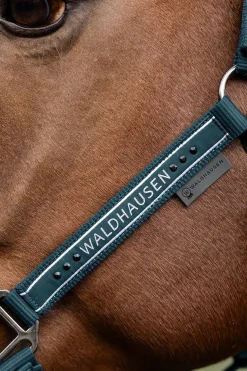 Waldhausen Elegant Halfter* Halfter