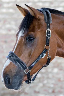 Waldhausen Elegant Halfter* Halfter
