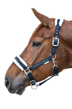 Waldhausen Elegant Halfter* Halfter