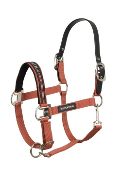 B Vertigo Empowerment Feldsicheres Halfter* Halfter