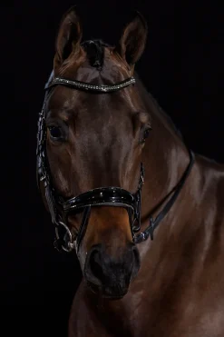 Schockemöhle Sports Equitus Beta Glam Trense* Trensen & Nasenriemen
