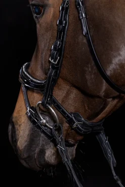 Schockemöhle Sports Equitus Beta Glam Trense* Trensen & Nasenriemen
