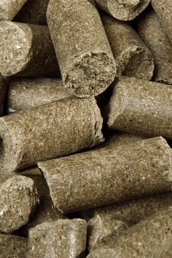 Speed Eucalyptus Delicious ies, Leckerli, 1kg* Pferdeleckerlis