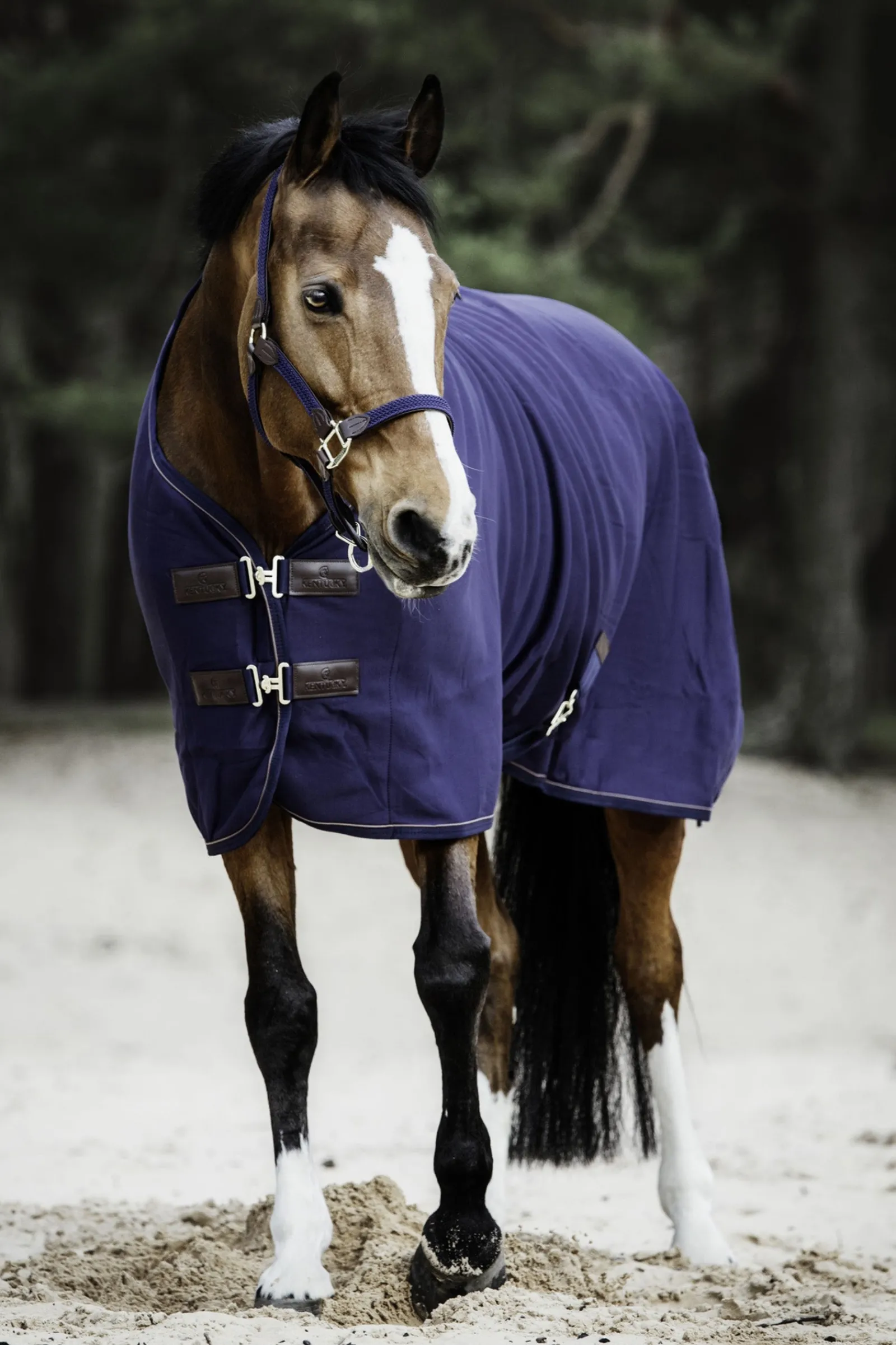 Kentucky Horsewear Fleece Abschwitzdecke* Abschwitzdecken