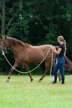 F.R.A. Freedom Riding Articles Flinn Bodenarbeitsseil Baumwolle, 820 cm* Longier- Und Trainingsausrüstung|Longen & Longierhilfen