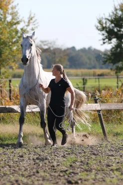 F.R.A. Freedom Riding Articles Flinn Bodenarbeitsseil Baumwolle, 820 cm* Longier- Und Trainingsausrüstung|Longen & Longierhilfen