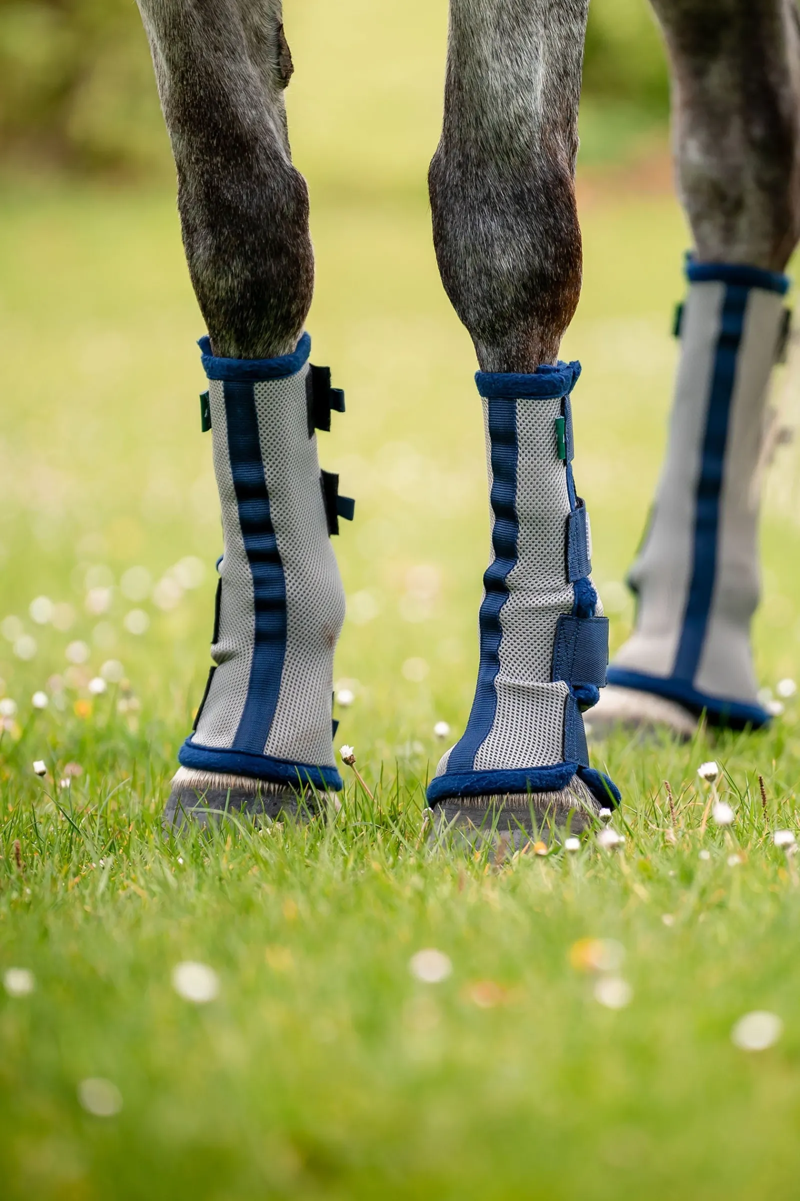 Horseware Fly Boots - Set aus 2* Gamaschen