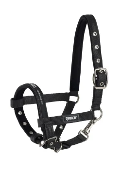 Eskadron Foal Halter* Halfter