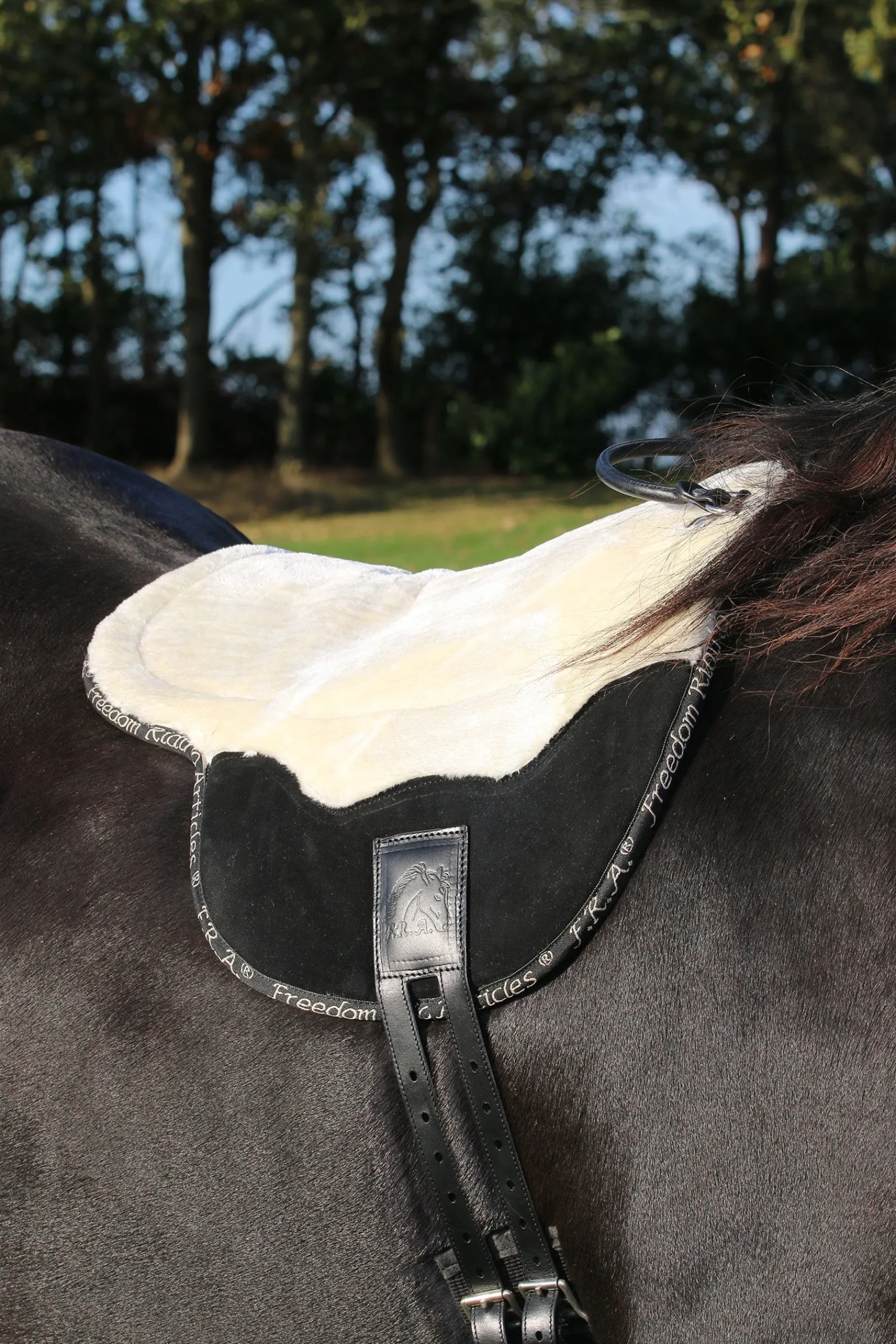 F.R.A. Freedom Riding Articles Free Reitpad, Full* Sättel