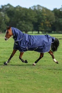 Bucas Freedom + Neck 100 g Rug Set* Leichte Weidedecken