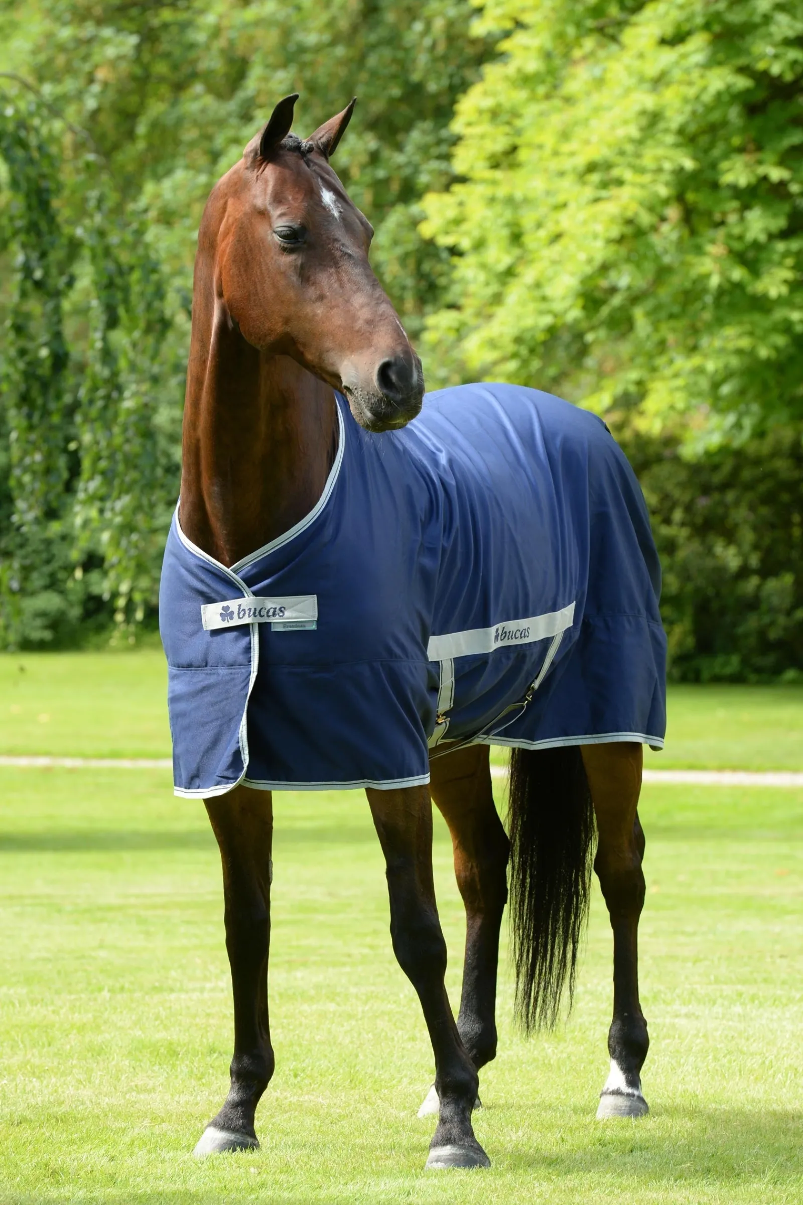 Bucas Freedom Twill Stalldecke, 0 g* Stall- & Unterdecken