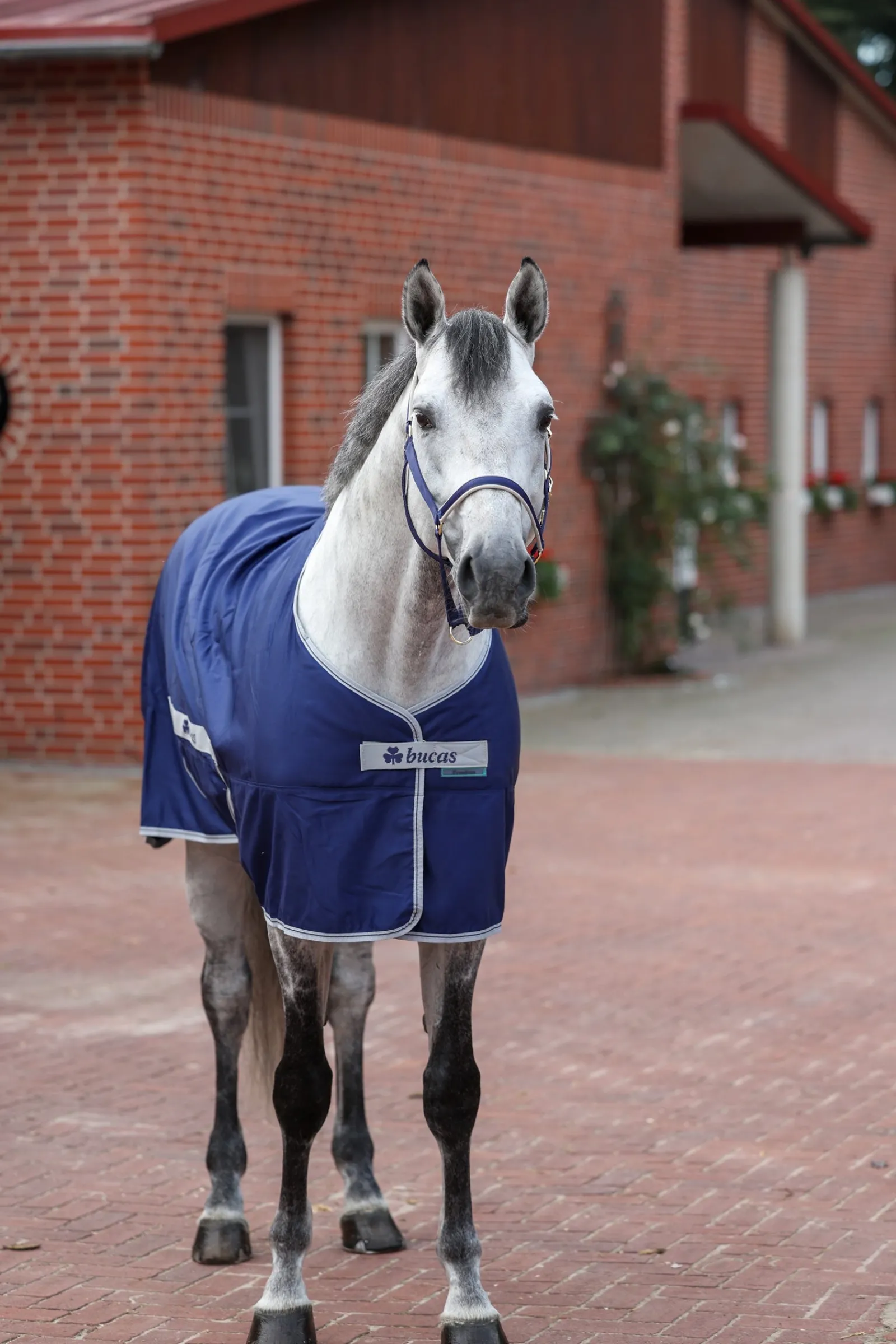Bucas Freedom Twill Stalldecke, 0 g* Stall- & Unterdecken