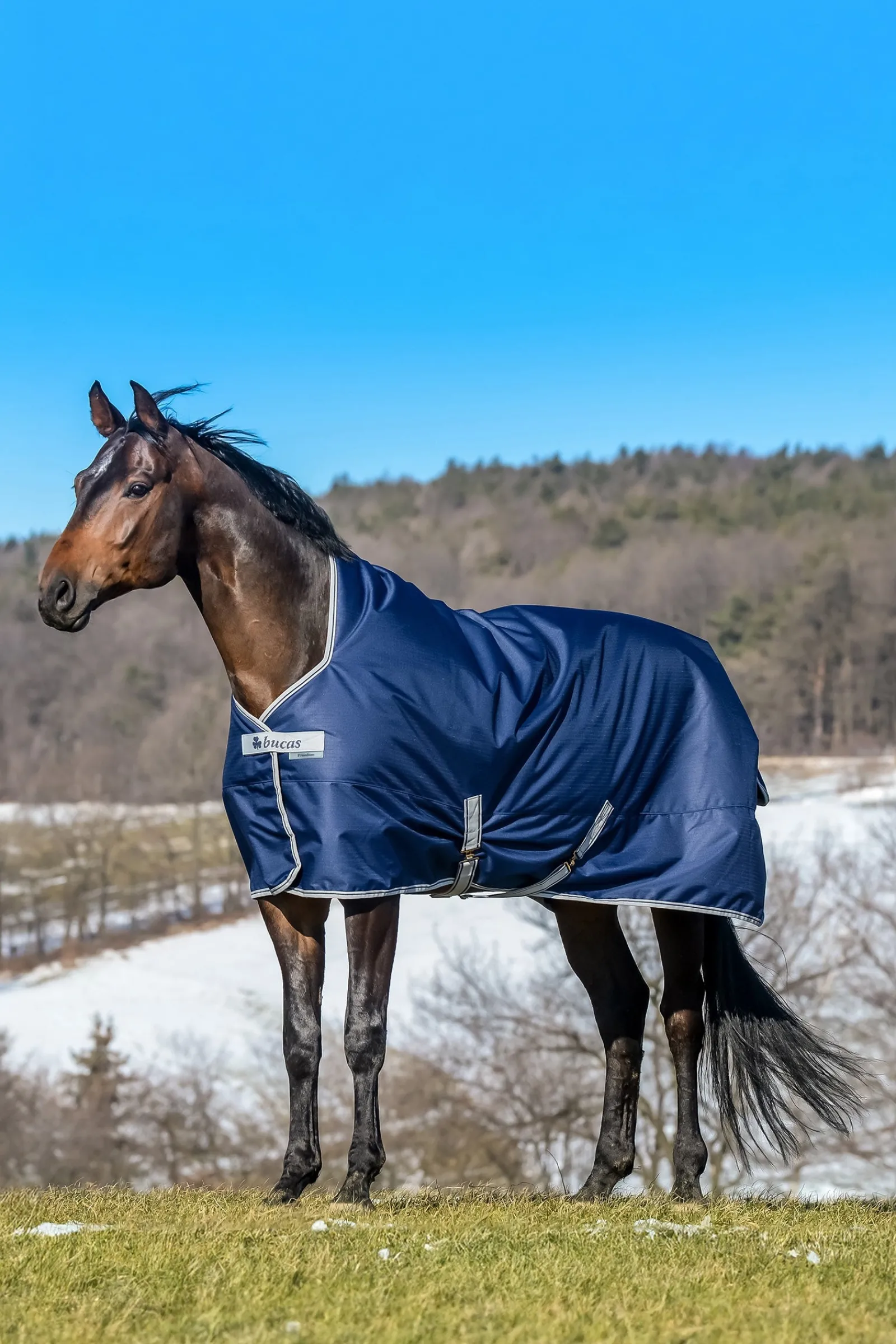 Bucas Freedom Weidedecke mit hohem Hals, 150g* Mittelschwere & Schwere Winterdecken