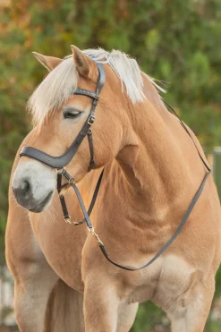 F.R.A. Freedom Riding Articles Glory gebisslose Trense mit Zügeln (System 4)* Trensen & Nasenriemen